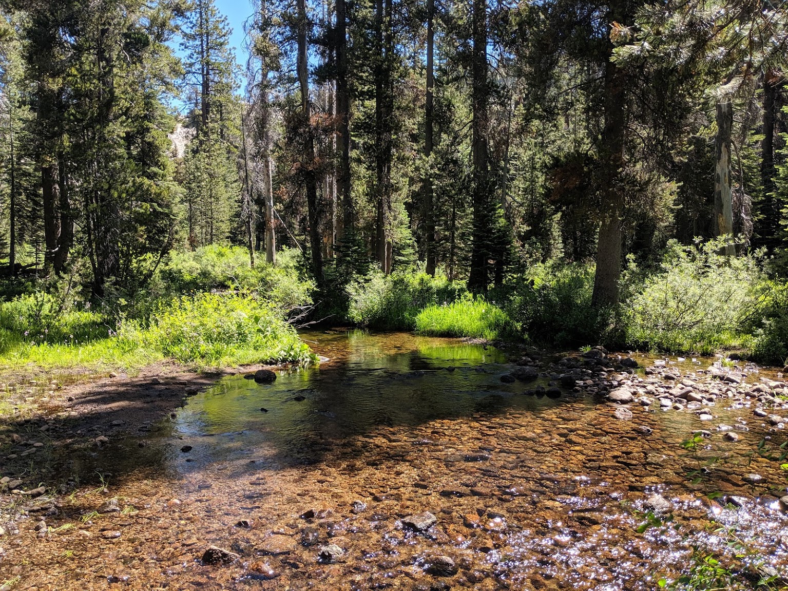 crossing a stream